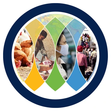 Collage of images over global map